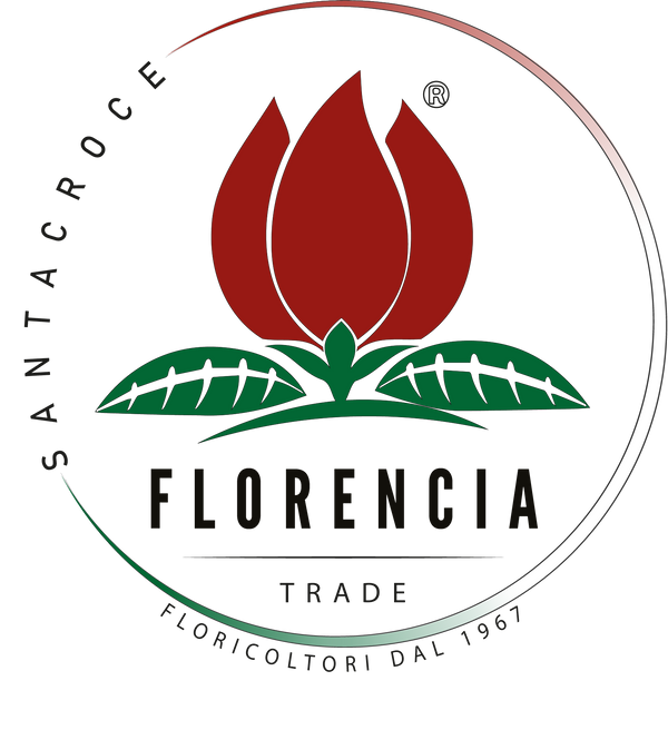 Florencia Trade s.r.l.